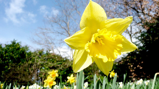 3382448536_9aac7244bf_z