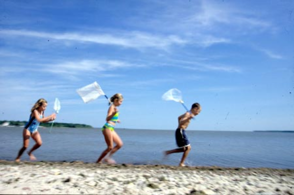 Screen Shot 2013-06-27 at 12.04.18 PM