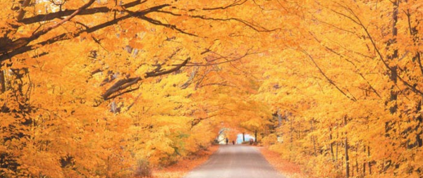 Screen Shot 2013-09-25 at 8.58.24 AM