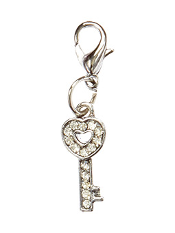 Charm_key_mn01