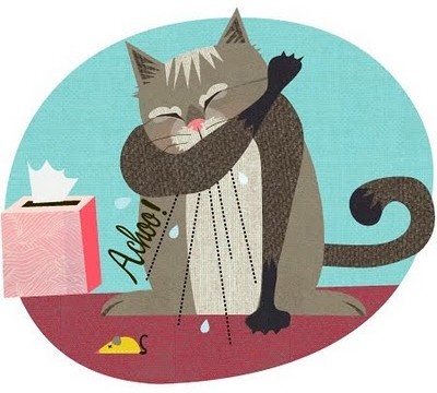 Sick? Here’s How to Get Through It!