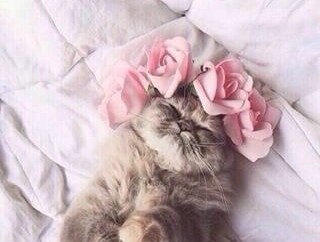 9 Flower Accessories That Will Transform Your Room